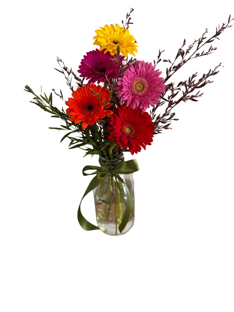 Gerbera Posy Bouquet