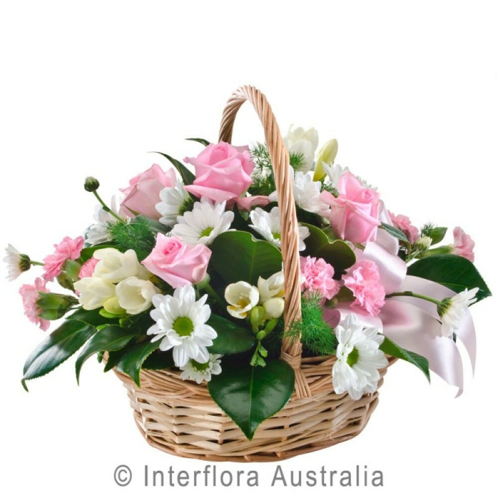 Petite Basket