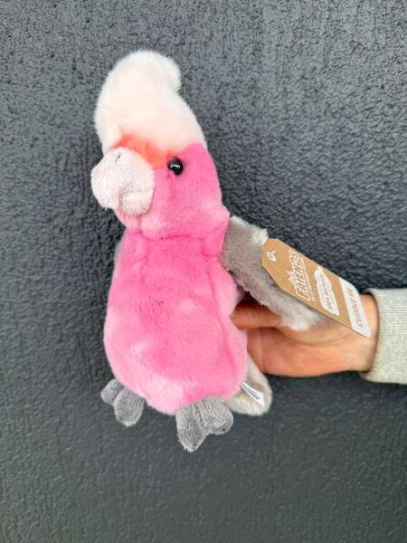 Pink Galah