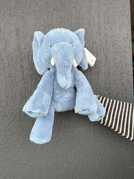 Elephant baby