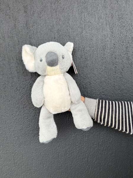 Koala Baby