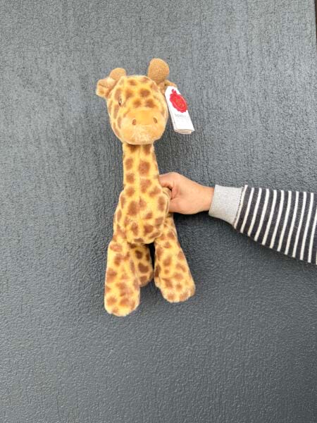 Giraffe Baby