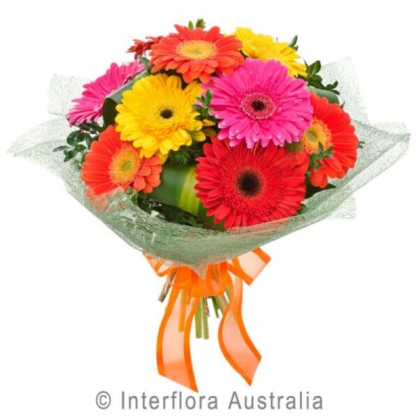 Bouquet of Gerberas