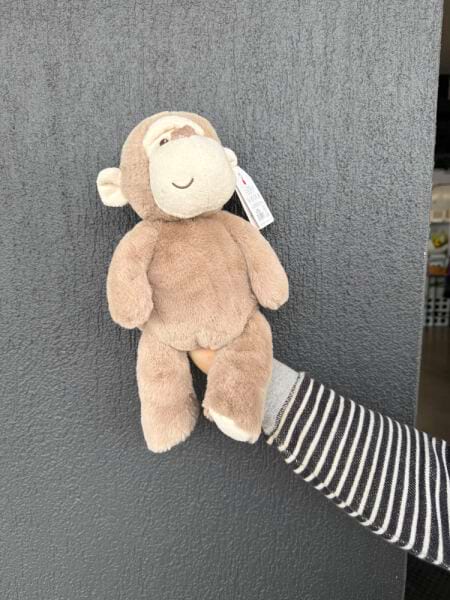 Monkey Baby
