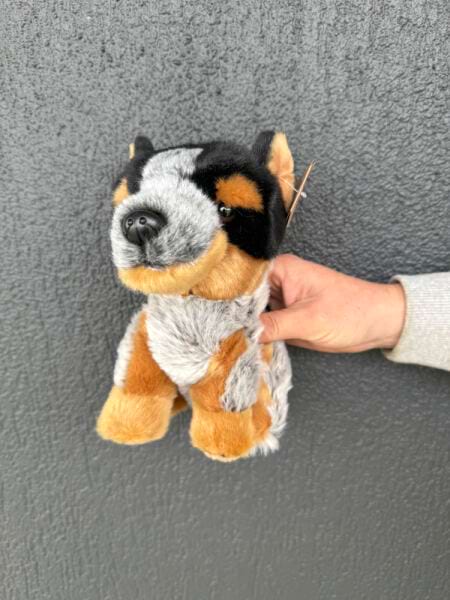 Blue heeler Soft Toy